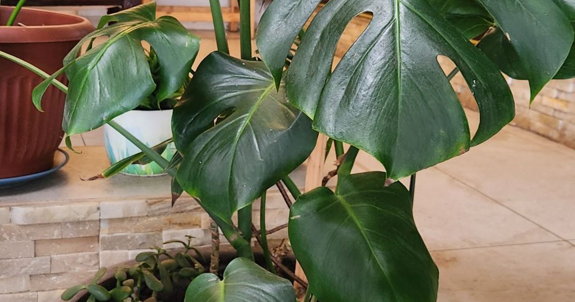 Residencial La Moderna