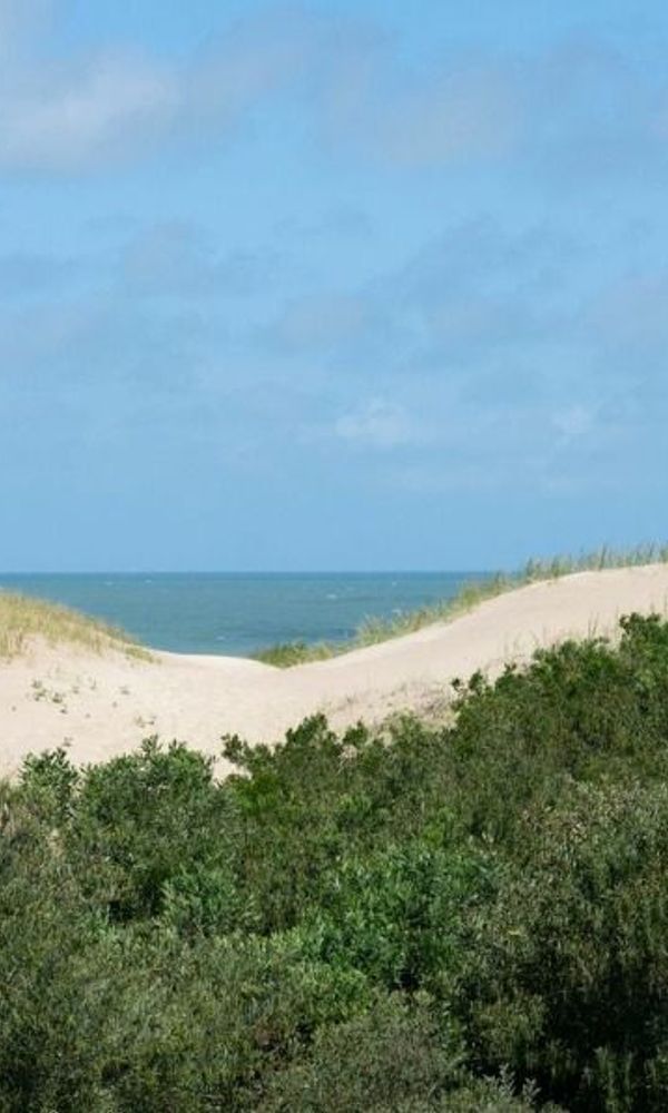 Apart Hotel Valeria Playa 