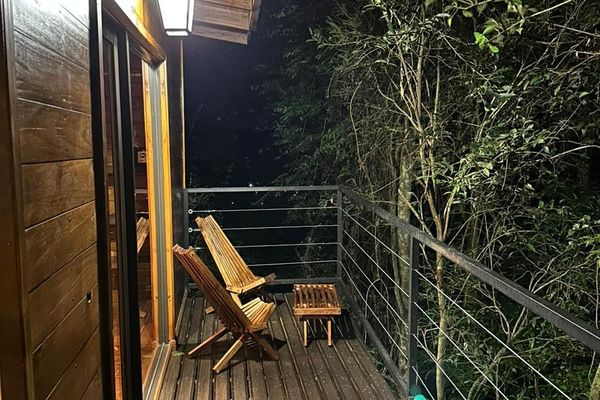 Cabaña en el Árbol 