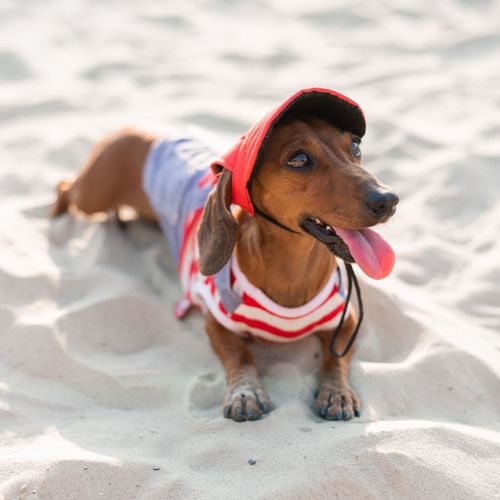 Santa Teresita Resort Hotel