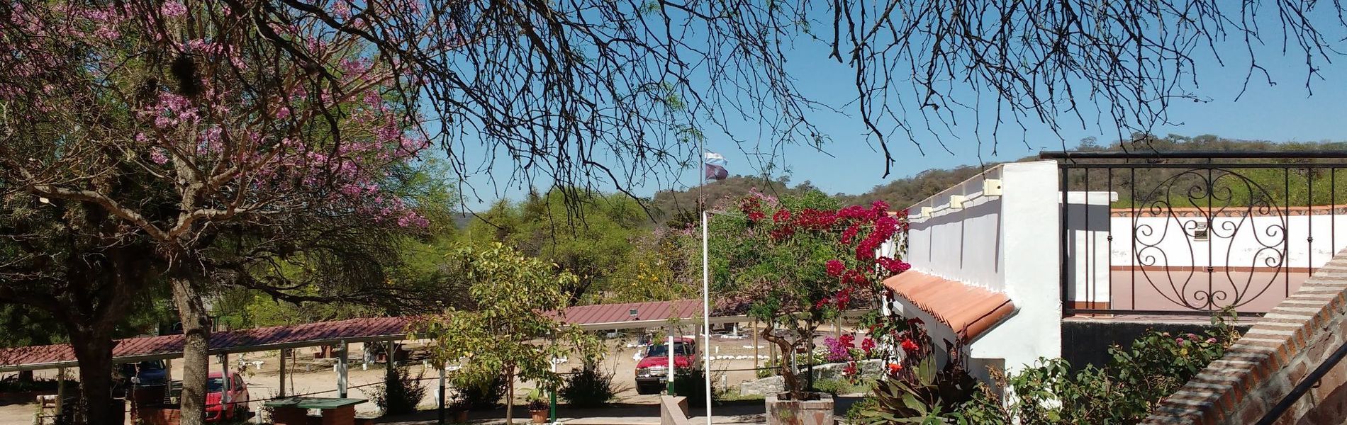 Complejo Termal El Sauce