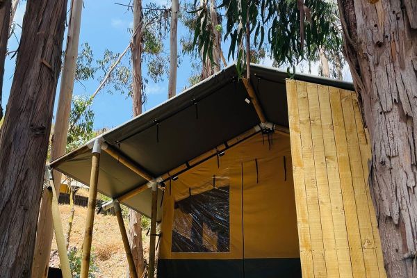 Glamping familiar standar