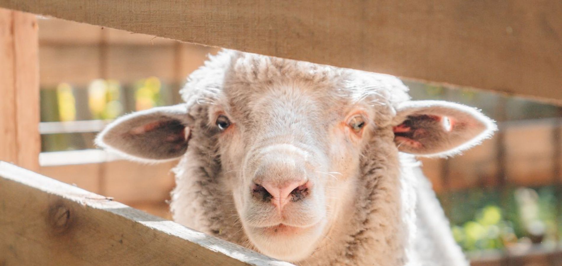 EQUS POSADA DE CAMPO