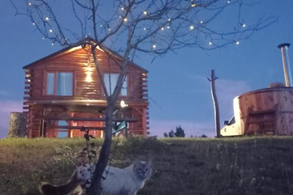 Cabaña en Bariloche Awen