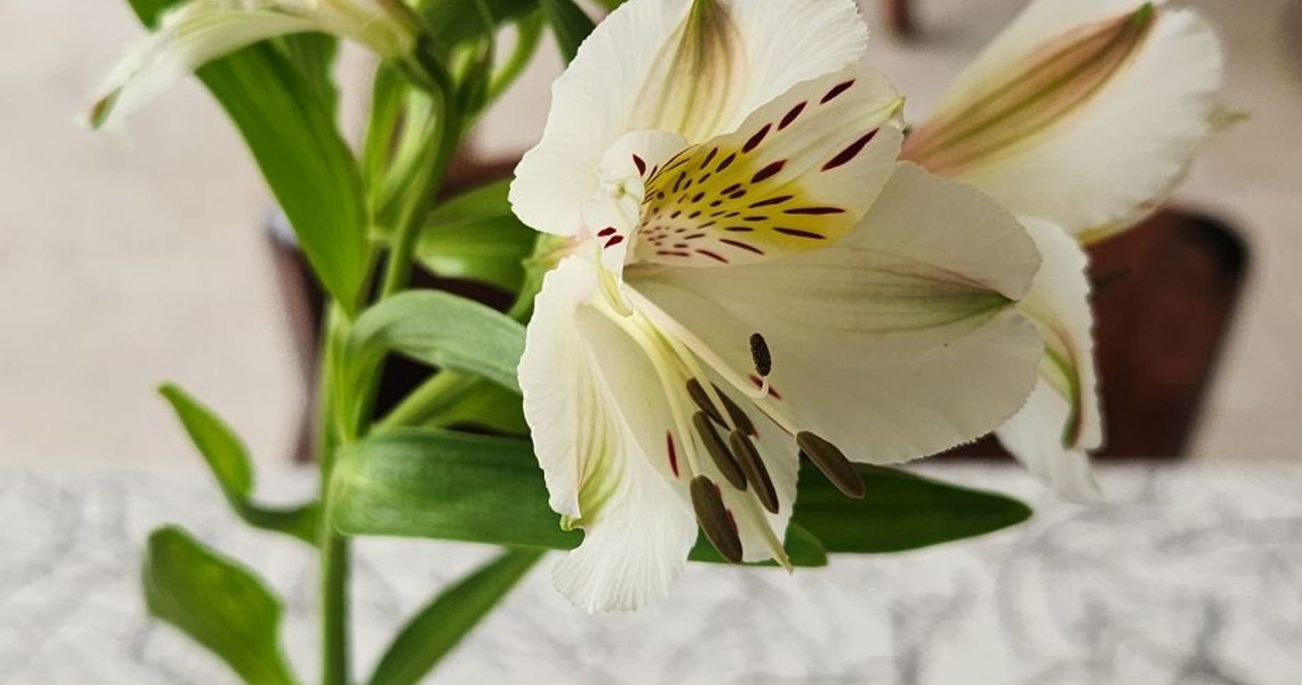 Residencial La Moderna