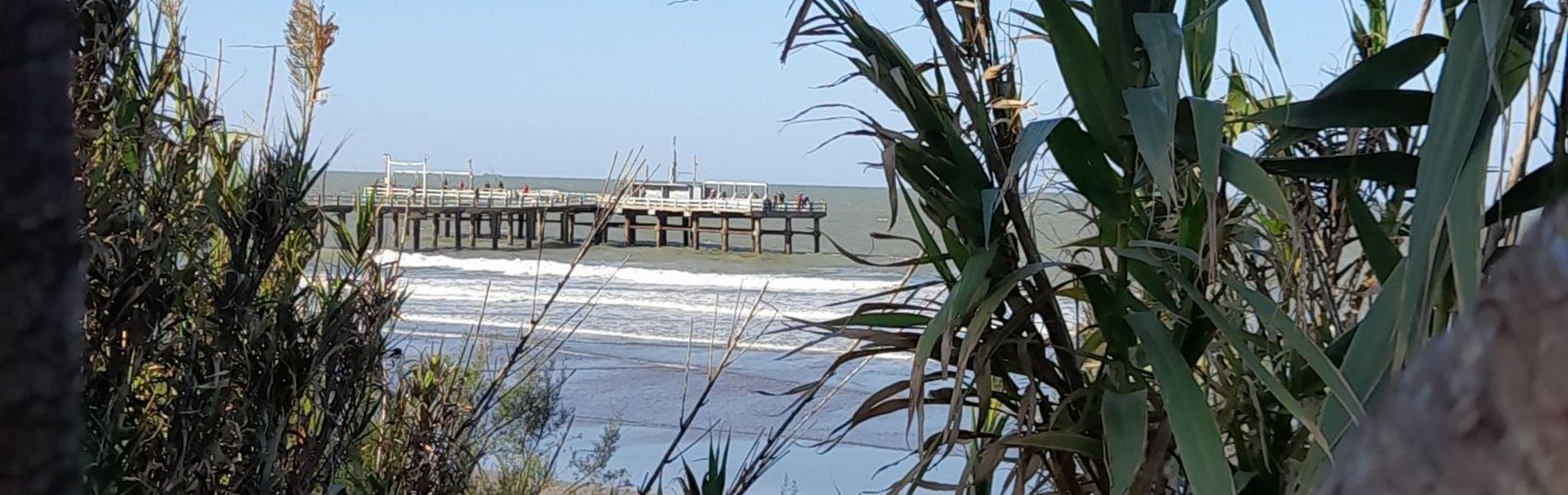 Palmeras Apart Santa Teresita 