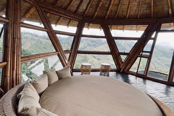 Cabaña Tangara Real