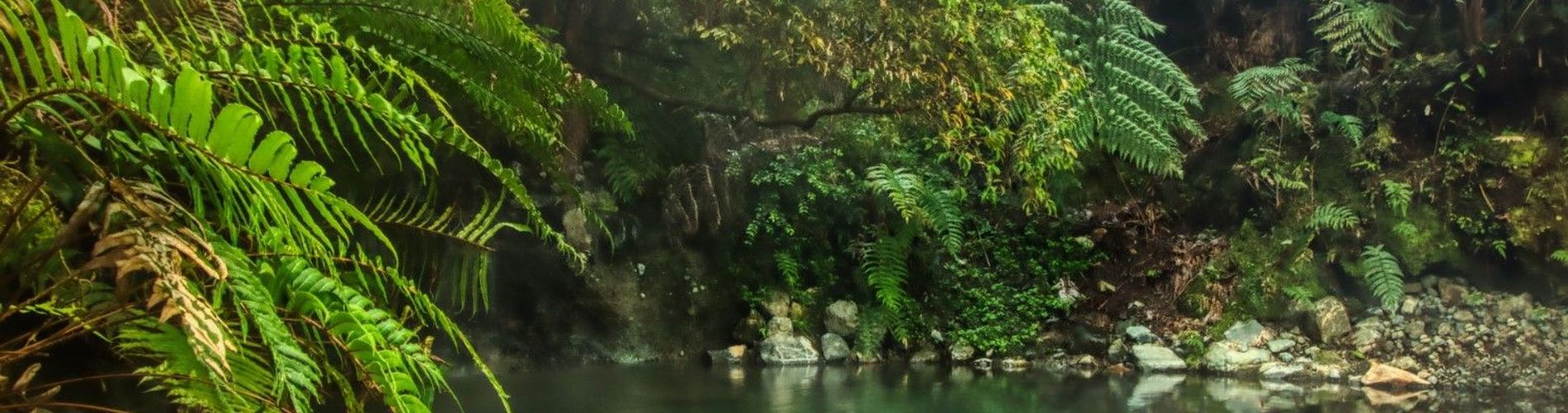 Puyuhuapi Lodge & Spa  
