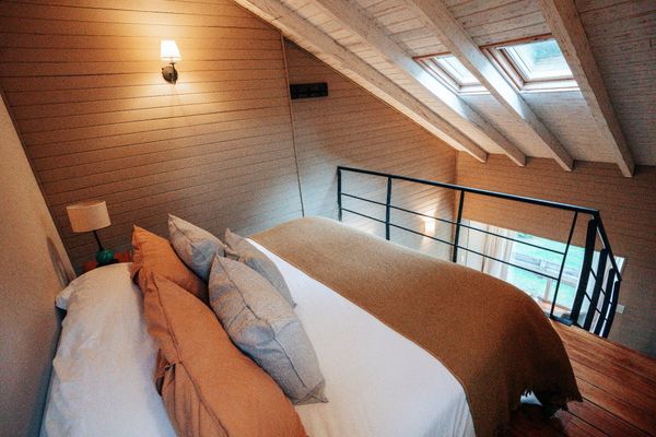 Junior Suite con vista al bosque 