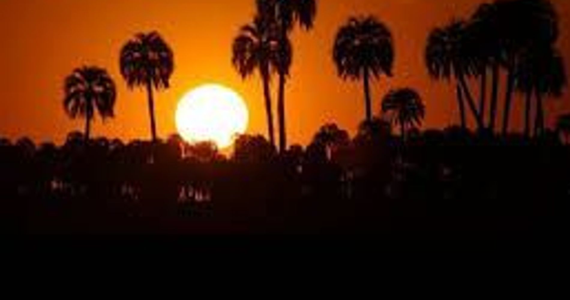 La Aurora del Palmar