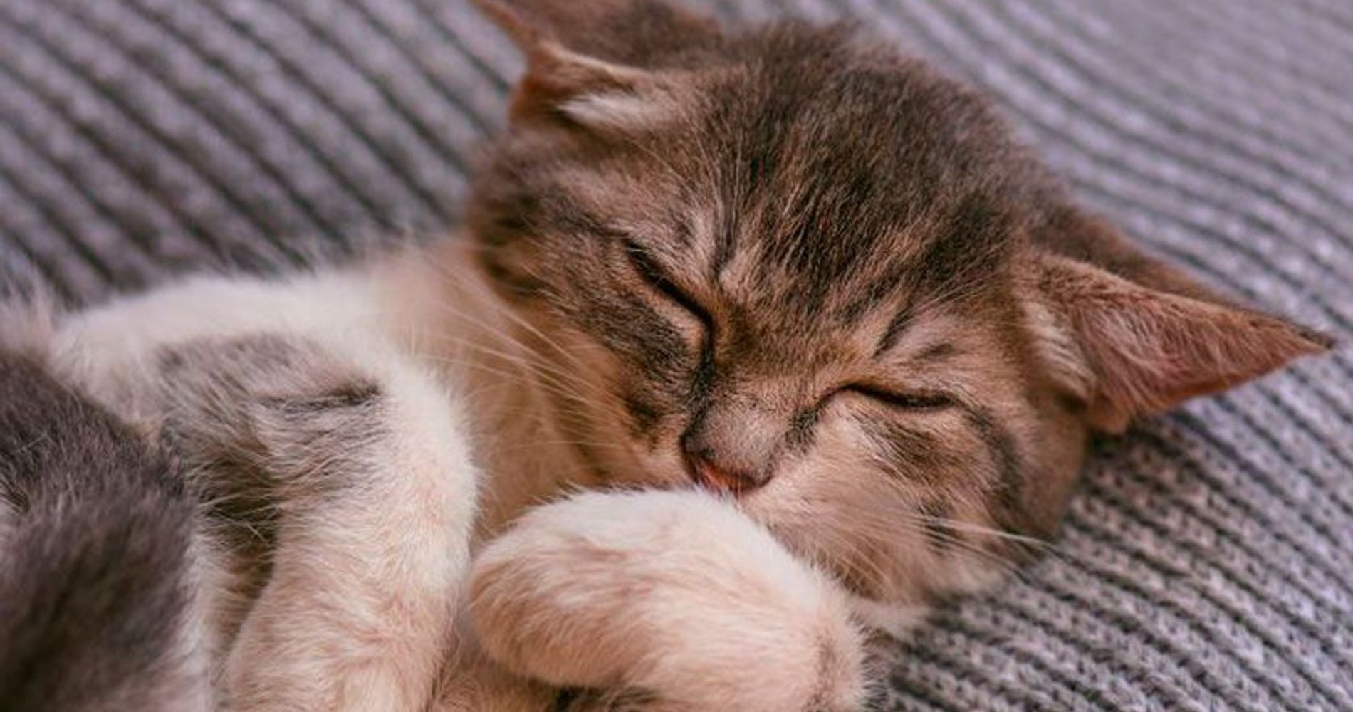 Hotel San Luis Obispo