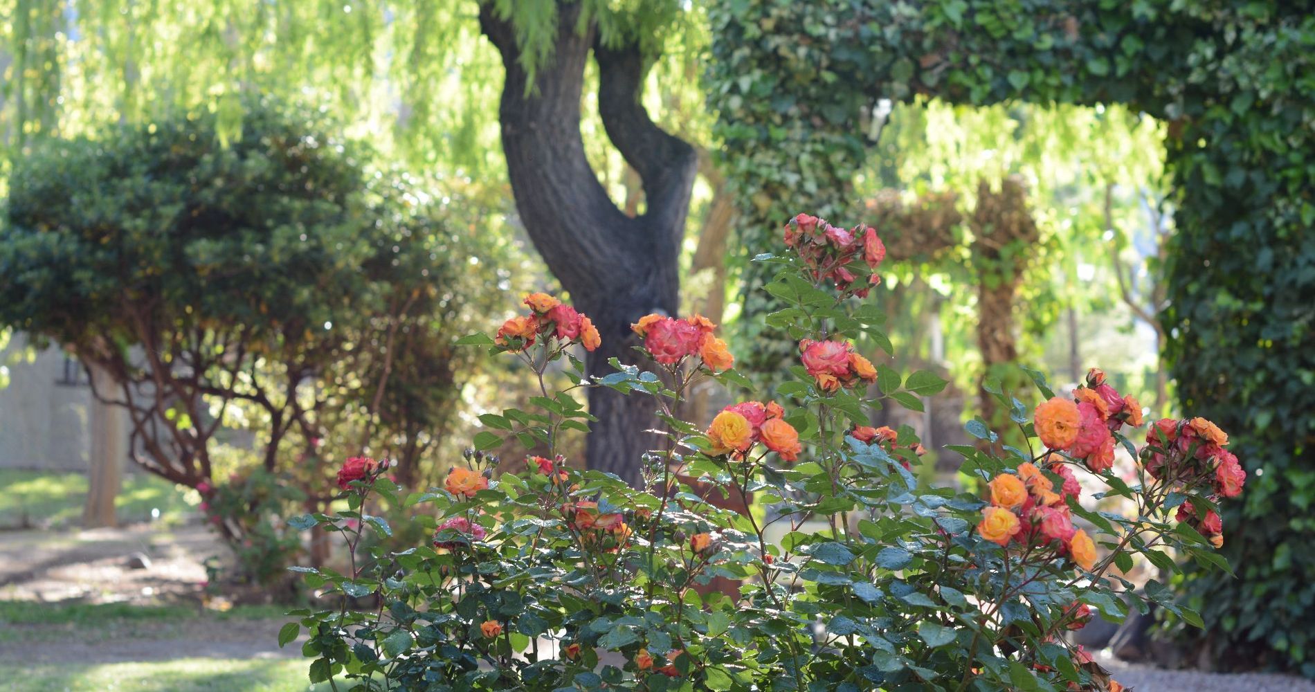 Cabañas Carü Leufu