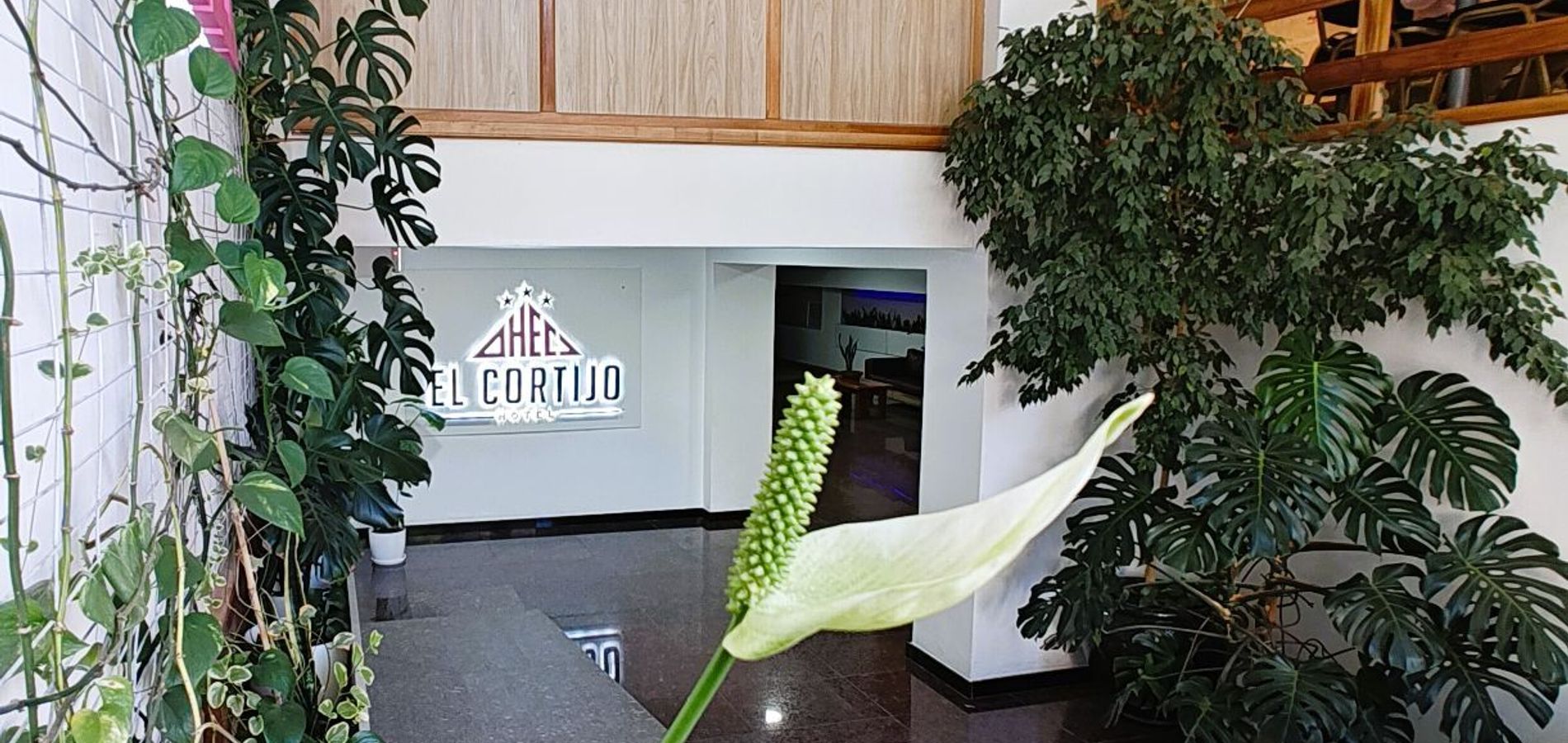 Nuevo Hotel el Cortijo