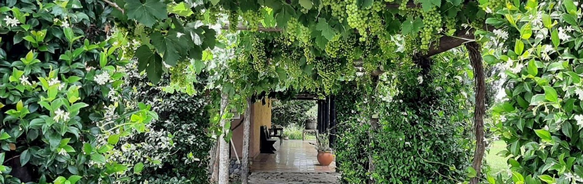 Posada Cavieres Wine Farm