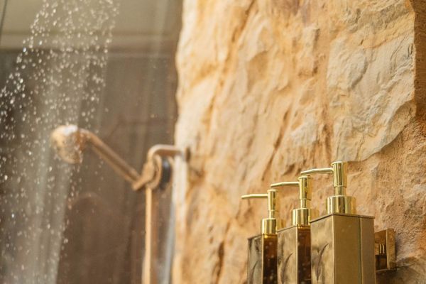 Grand Suite: E. Hemingway - W. Shakespeare