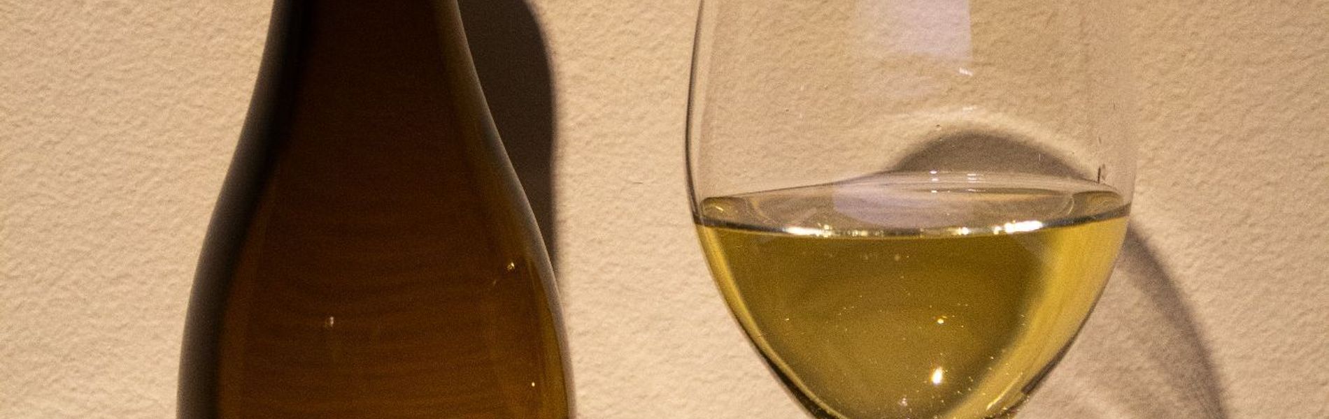 Vilaró Art Wine Hotel