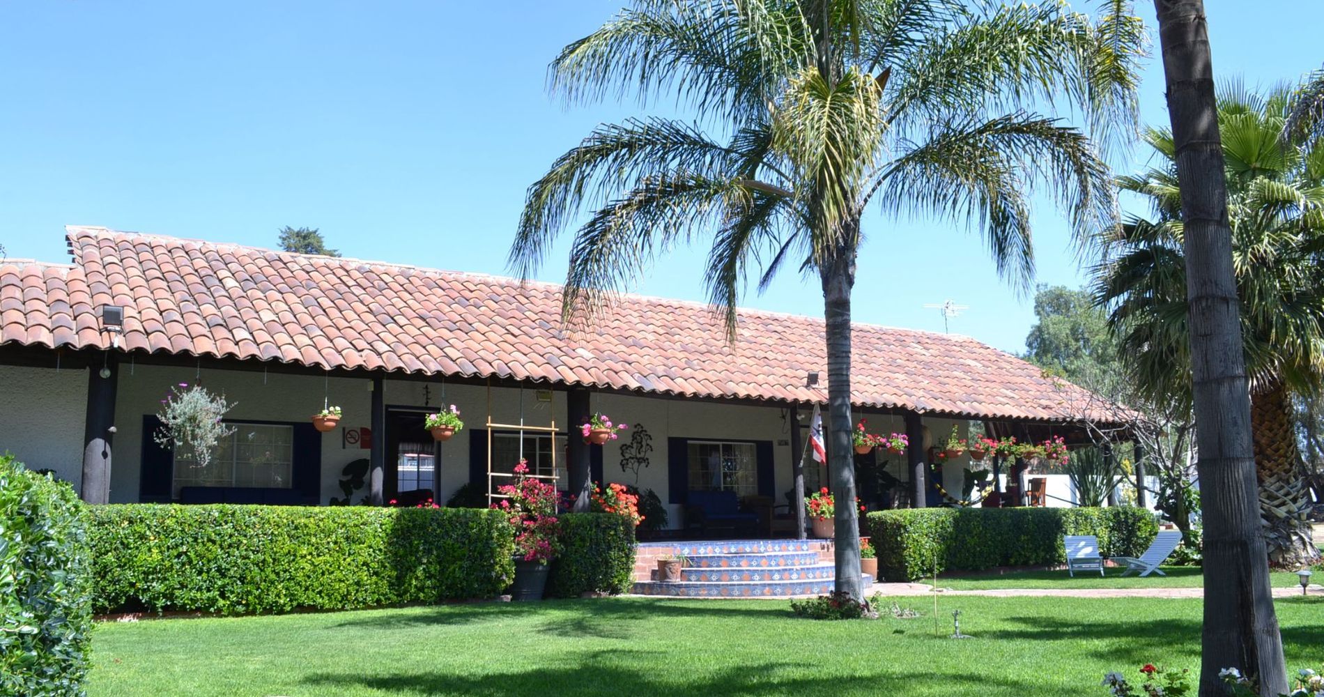 Teotihuacan Palms
