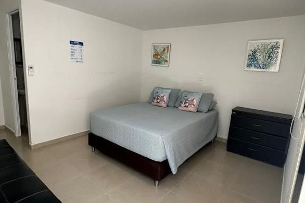 Habitación Basica