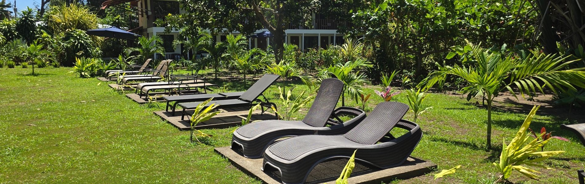 Hotel Tortuguero Beachfront