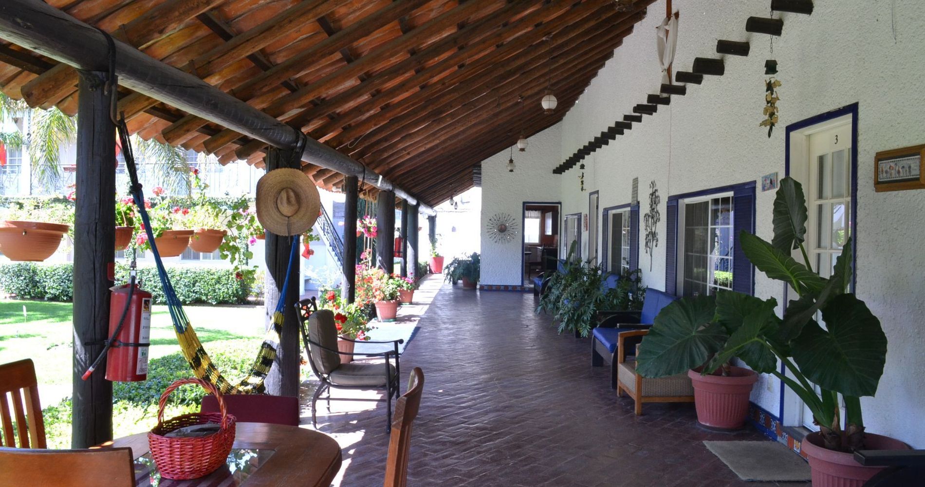 Teotihuacan Palms