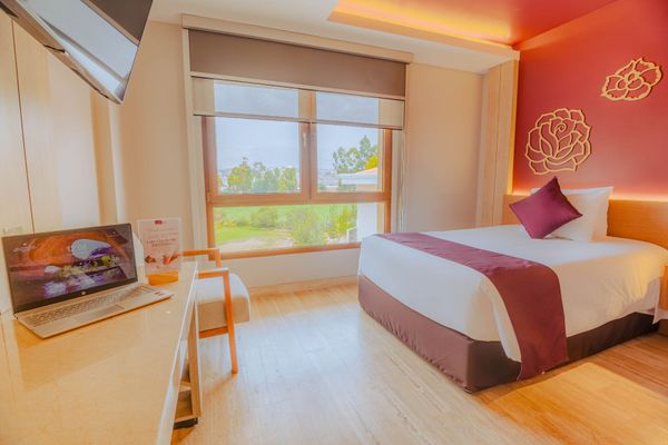 Suite Matrimonial Estándar