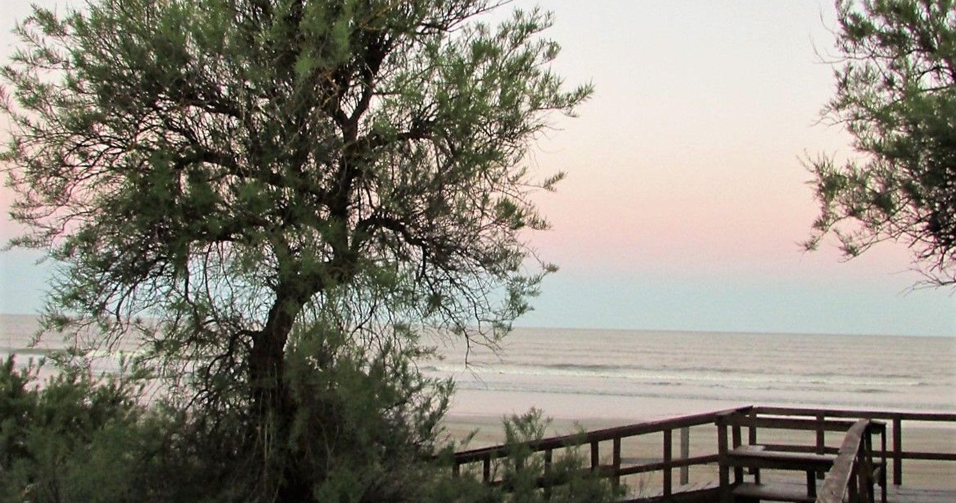 Elements-Apart Costa del Este
