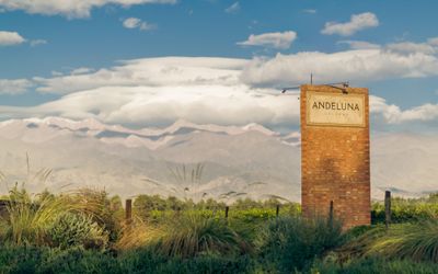 AndelunaCellarsSRL - Experiencia Andeluna