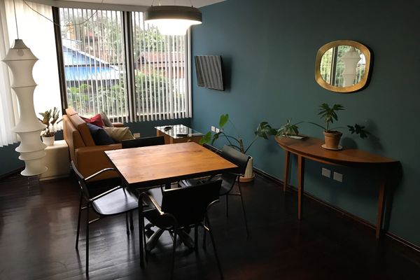 Departamento Puma
