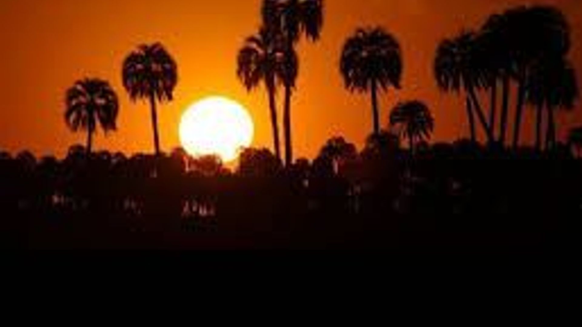 La Aurora del Palmar