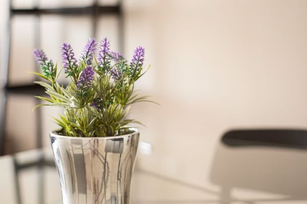 DEPARTAMENTO DE UN DORMITORIO