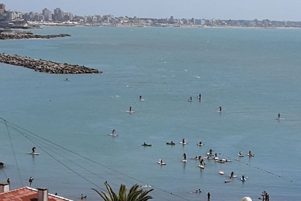 282 PUNTA PANAORAMA MAR