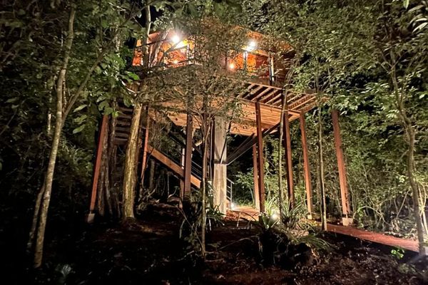 Cabaña en el Árbol 