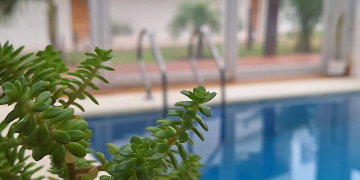 Apart Hotel Valeria Playa 