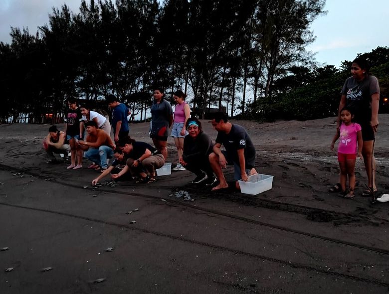 Hotel Playa Tortugas