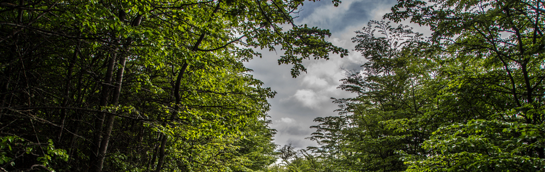 Hostal Ochen Punta Arenas