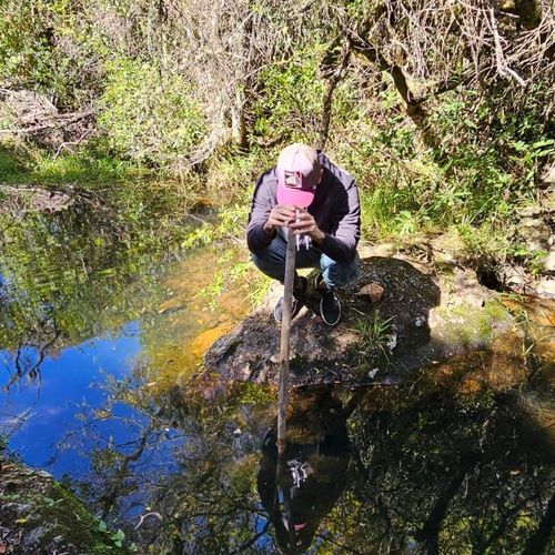 Mesón de Las Cañas