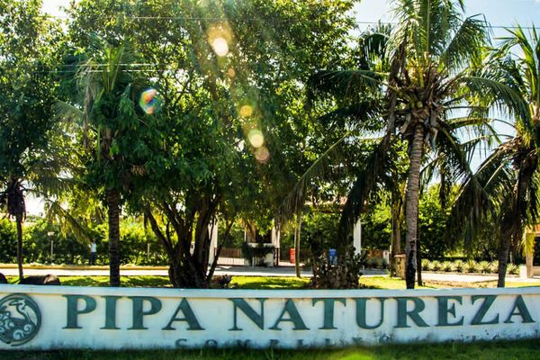 Casa Pipa Natureza