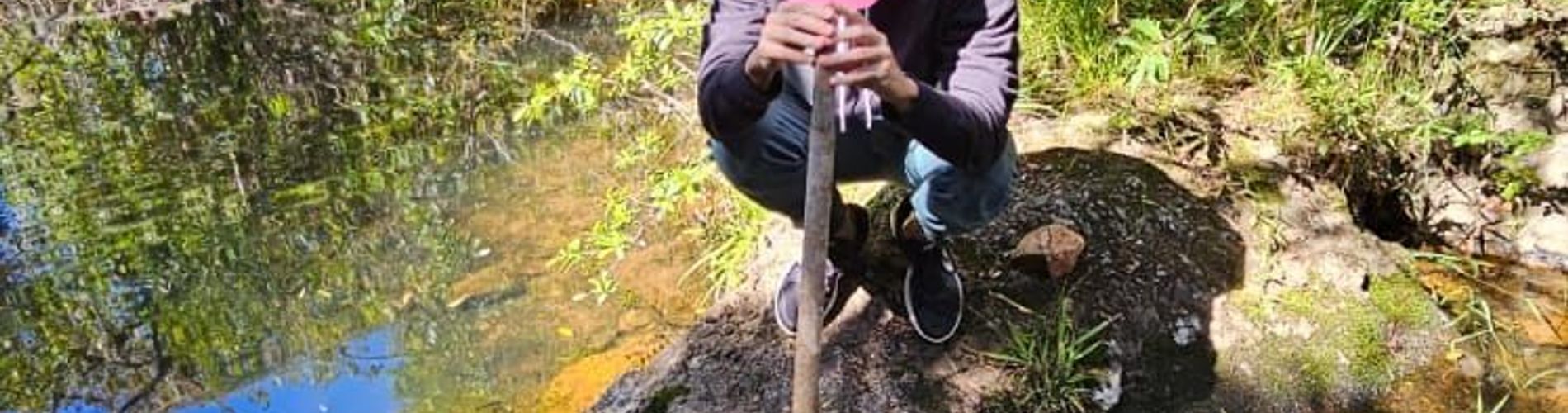 Mesón de Las Cañas