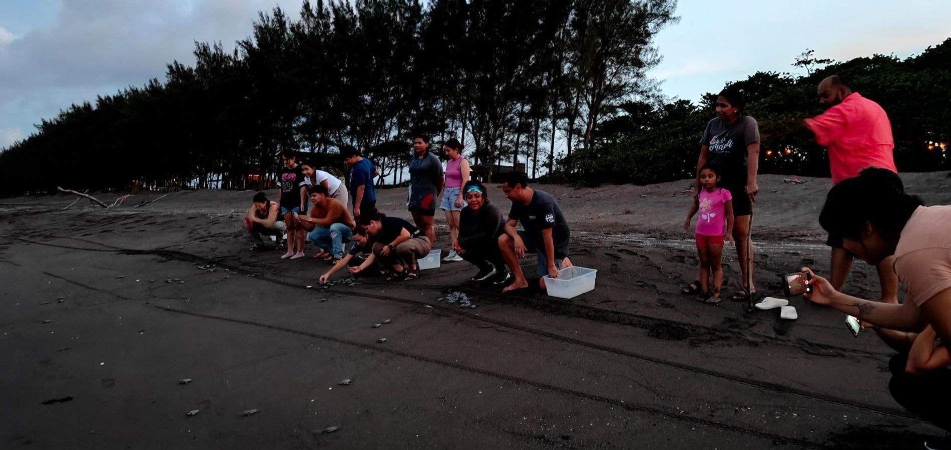 Hotel Playa Tortugas