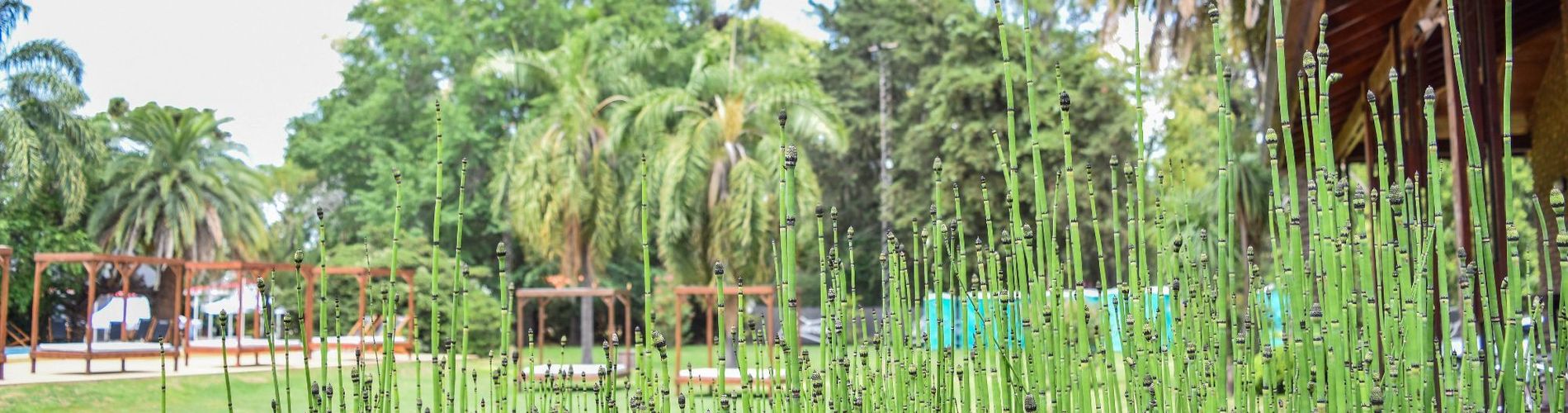 Parador15 Apart Hotel Resort & Events