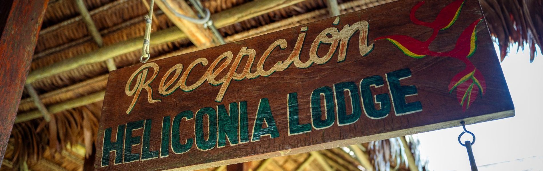 Heliconia Amazon River Lodge