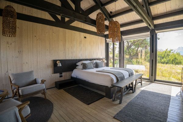 Condor Suite