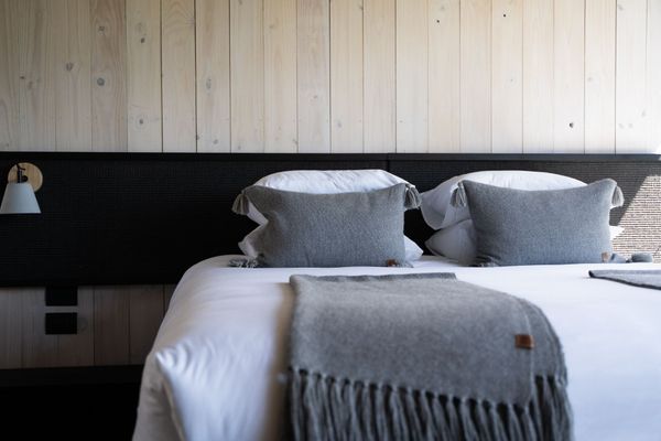 Condor Suite