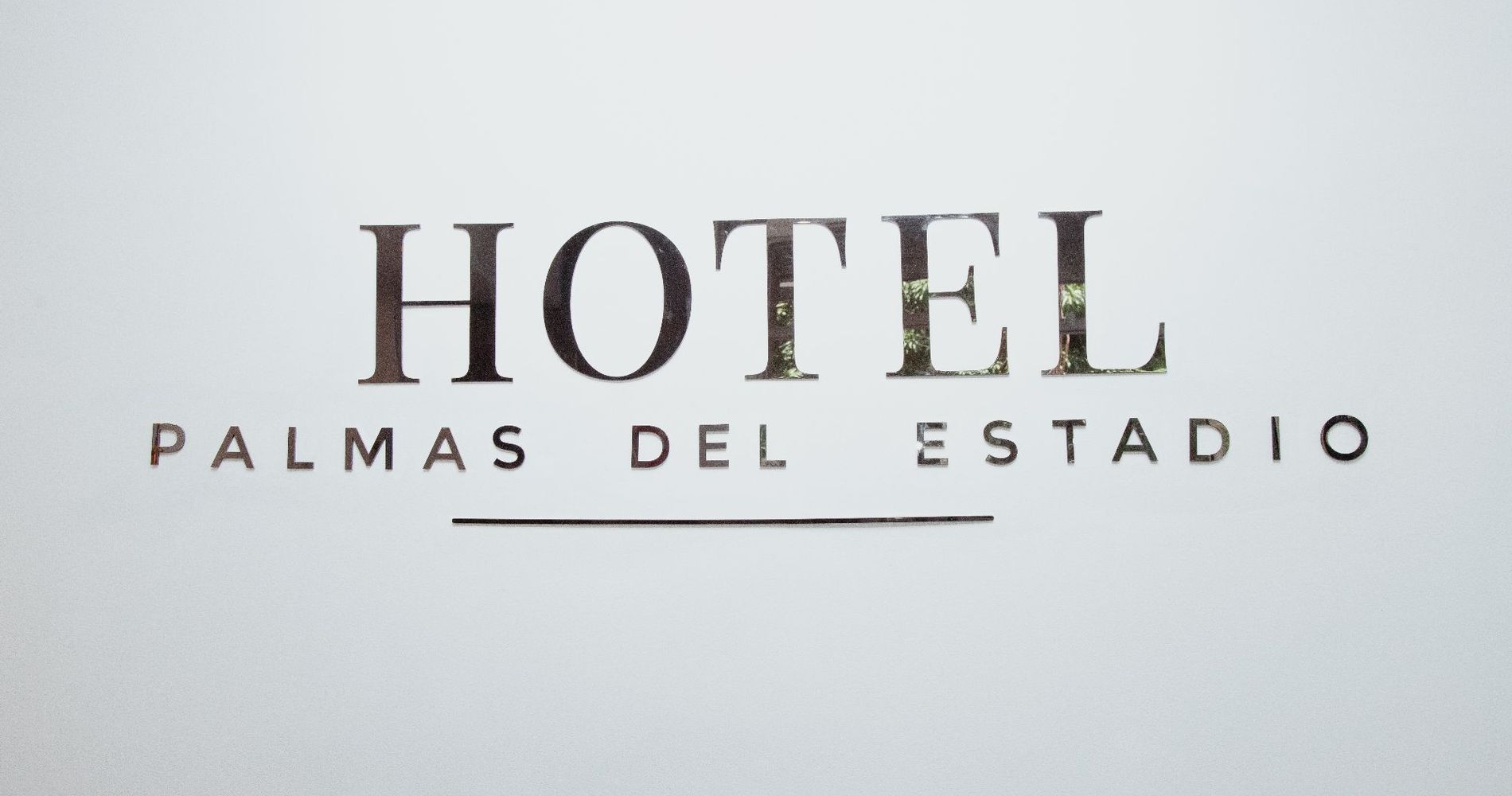 Hotel Palmas Del Estadio