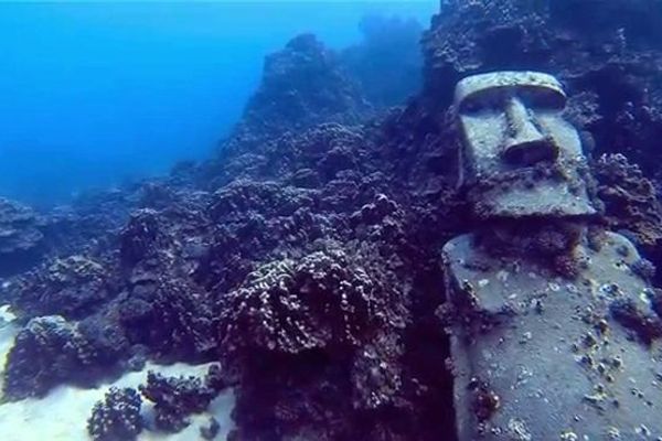 Buzos Certificados  (Experimentados)