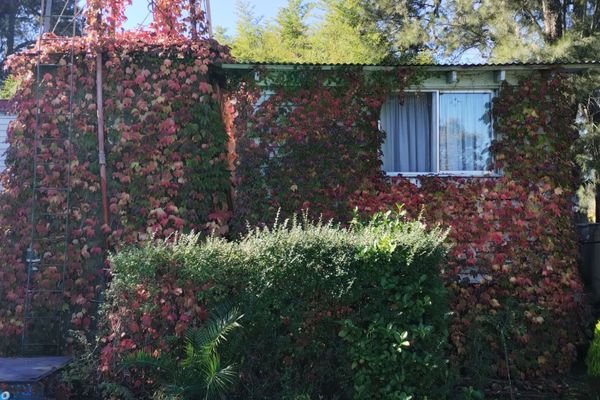 Cabaña Pequeña Sophia