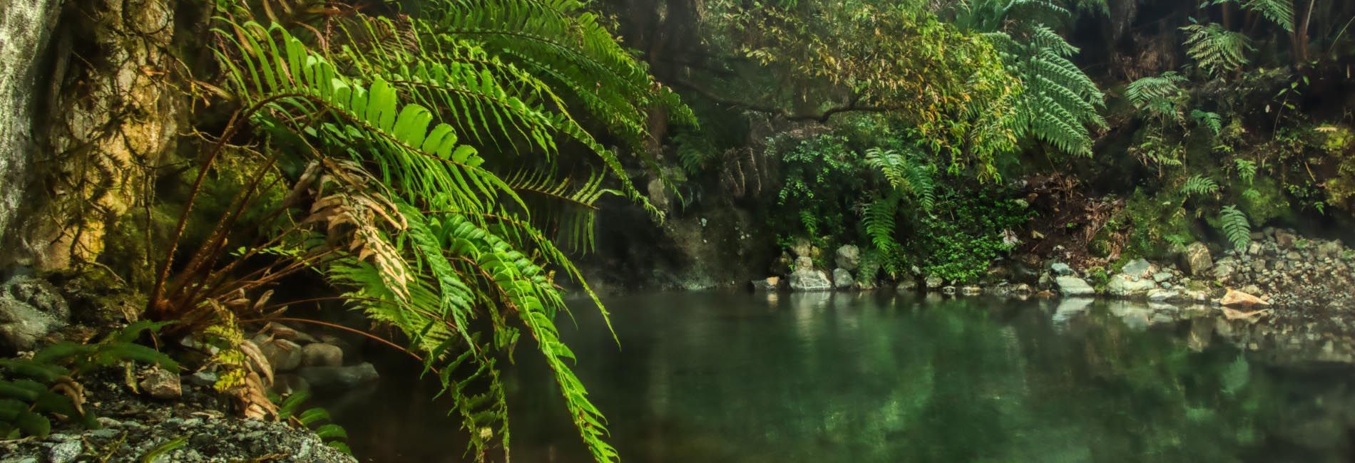 Puyuhuapi Lodge & Spa  