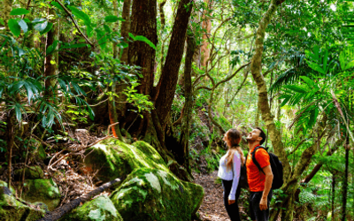FaroColibri - Senderismo