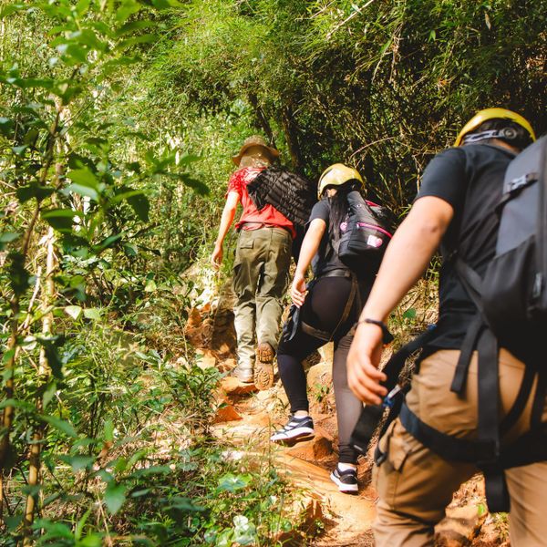 Glamping Selva Iguazú