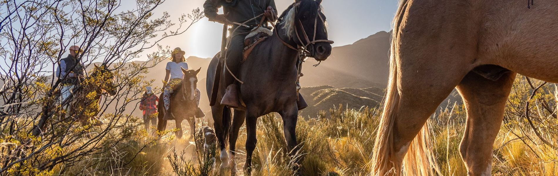 Donde estamos y como conocernos